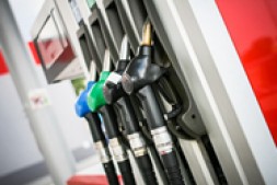 墨西哥蒂华纳补办 F1 经历分享